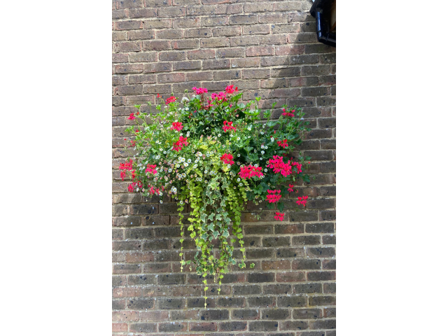 MGC Baskets at Medstead Village Hall